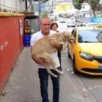Duyarlı Taksici Takdir Topladı