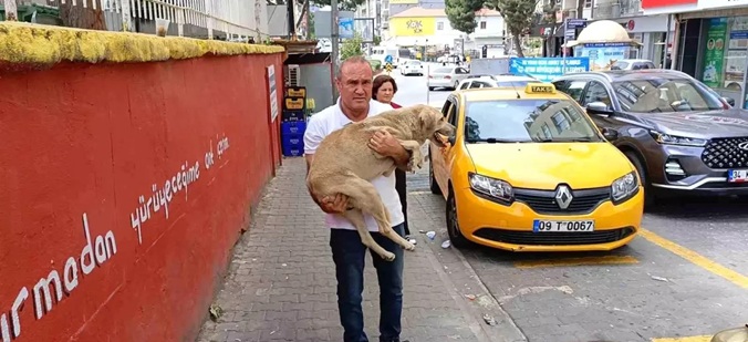 Duyarlı Taksici Takdir Topladı